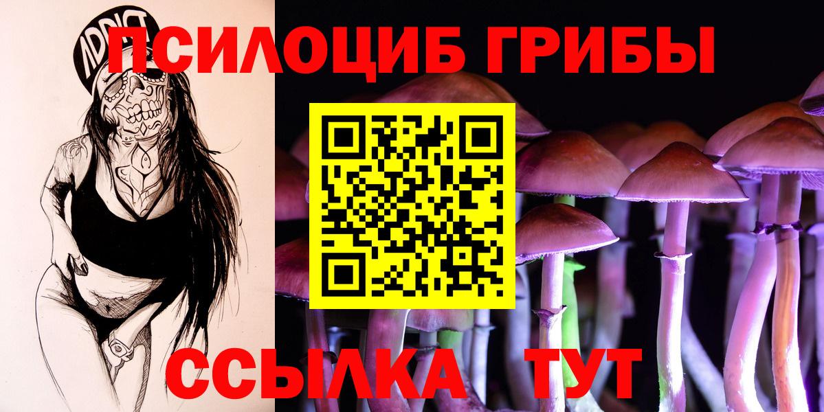 Псилоцибиновые грибы Psilocybine cubensis Красноармейск